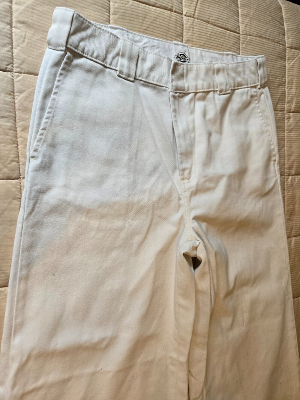Dickies - Picture 3 of 6